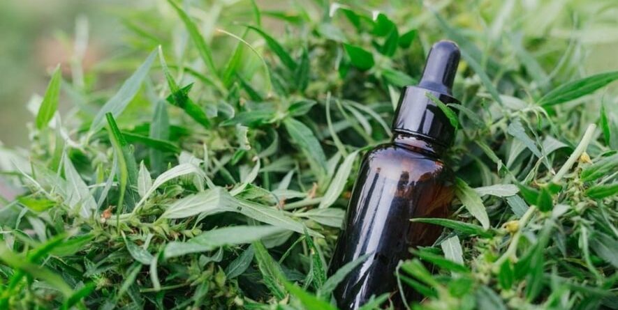 Adaçayı Yağı Cilde Faydaları